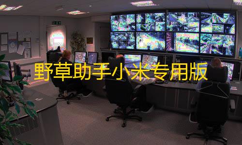 星木野2.12公益(科技)下载野草助手小米专用版